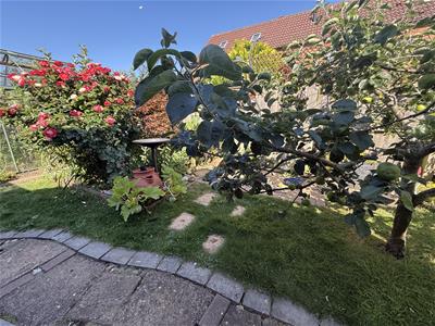Picture 20